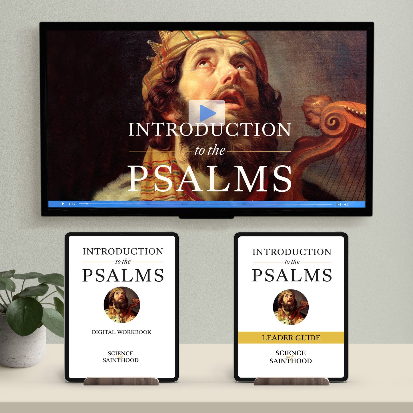 GROUP STARTER PACK - Introduction To the Psalms (Digital Workbook)