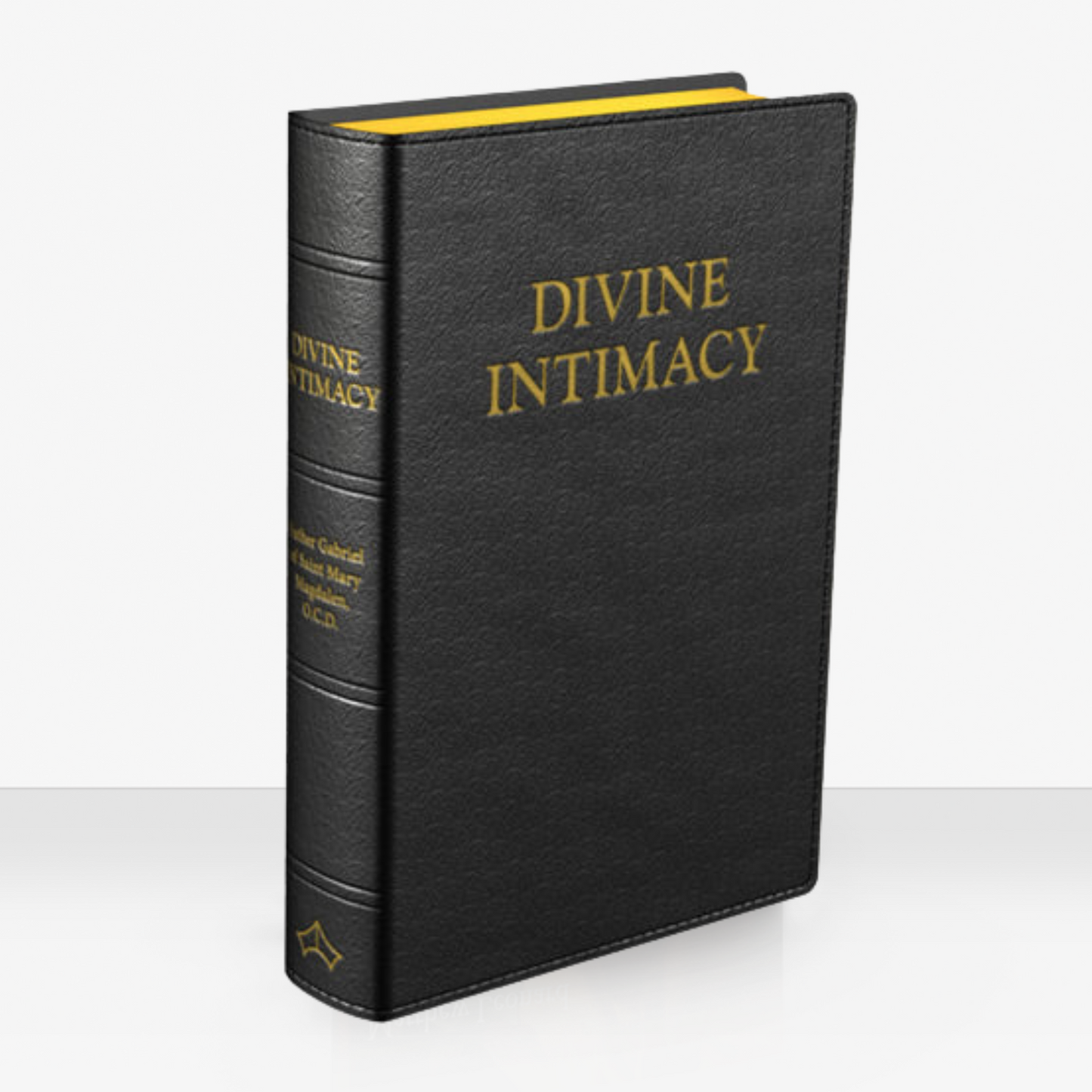 Divine Intimacy by Father Gabriel of St Mary Magdalen, O.C.D. (Baronius Press Edition)