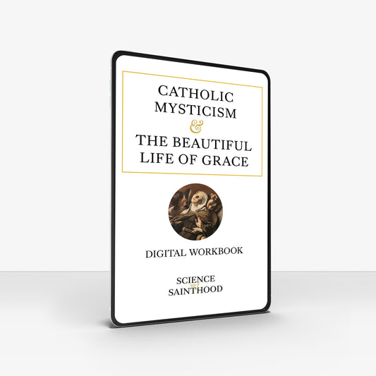 Digital Workbook 10-Pack: Catholic Mysticism & The Beautiful Life of Grace
