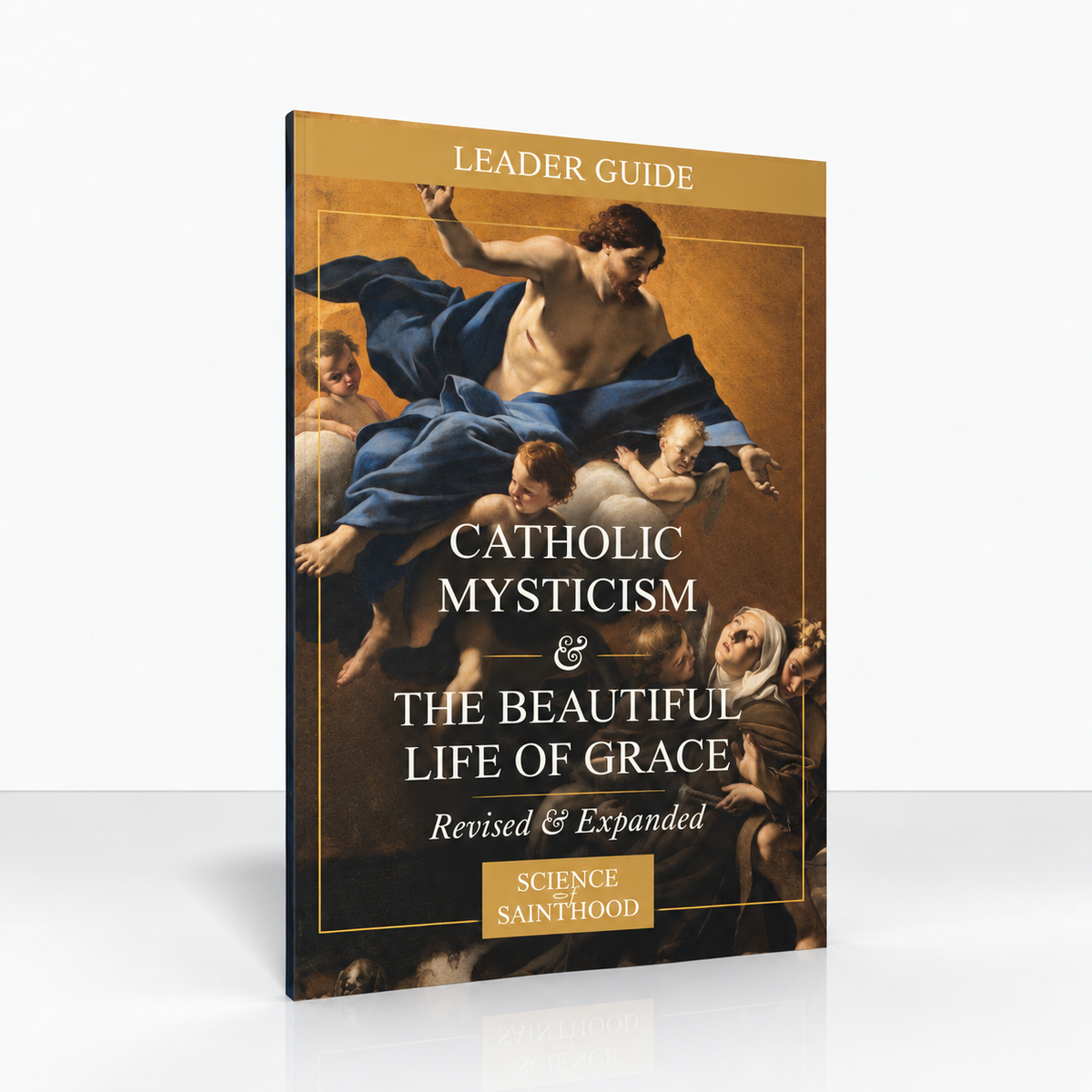 PRE-ORDER: Print Leader Guide - Catholic Mysticism & the Beautiful Life of Grace, Revised & Expanded