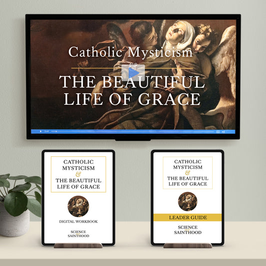NEW GROUP STARTER PACK - Catholic Mysticism & the Beautiful Life of Grace (Digital Workbook)