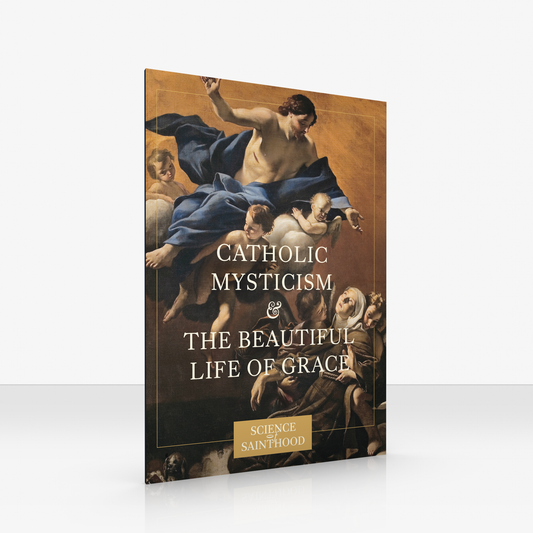 Print Workbook 10-Pack: Catholic Mysticism & The Beautiful Life of Grace
