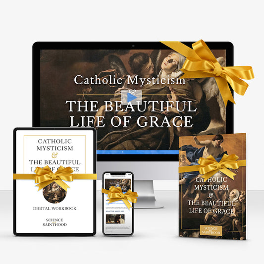 GIFT - PERSONAL STUDY KIT WITH PRINT & DIGITAL WORKBOOK - Catholic Mysticism & The Beautiful Life of Grace