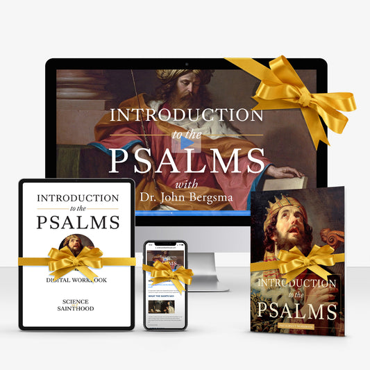 GIFT - PERSONAL STUDY KIT WITH PRINT & DIGITAL WORKBOOK - Introduction to the Psalms